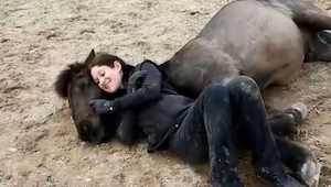 La mujer se tumbó al lado del caballo. Lo qué paso después es extraordinario.