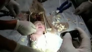 Un recién nacido fue echado en un inodoro. ¿Qué hicieron los bomberos? ¡Cuesta i