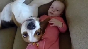 No imaginas que hace este perro con la chiquilla. ¡Vaya dos!