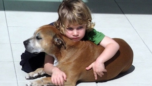 Los padres de este chico le dejaron ver la muerte de su mascota. Lo que el niño 