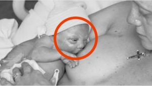 Una madre le da de mamar a su hijo recién nacido, pero si lo miras de cerca... ¡