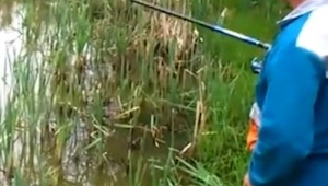 Un pescador pescó algo pero no podía alegrarse mucho de su presa. ¡Este ataque f