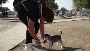 Un adolescente sirio caminó 500 kilómetros junto con su perro. Cuando leí por qu