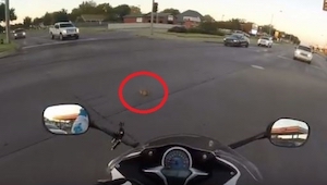 Una motociclista arriesgó su vida para salvar la de un gato que estaba en un cru