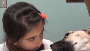 Esta niña está mirando al perro que está muriéndose a sus ojos. ¿Y qué ocurre? ¡