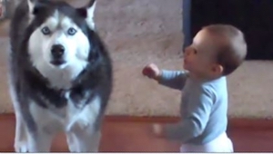 Una madre capturó a su niño cuando tuvo una conversación con su perro... ¡Tenéis