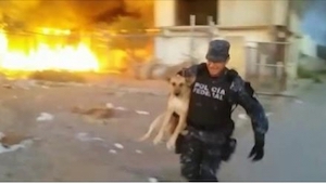 Un policía arriesgó su propia vida para salvar a un perro del incendio.