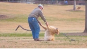 En el parque capturó a un extraño haciendo ESTO a su propio perro. Grabó esta si