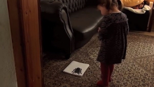 Su hija vio a una araña enorme... ¡Cuando se acercó, se quedó muda!