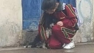 Una chica fue fotografiada en secreto mientras se ocupaba de un perro. ¡Estas fo