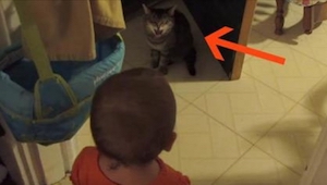 Una madre grabó a su hijo hablando con su gato. ¿La reacción del gato en el segu