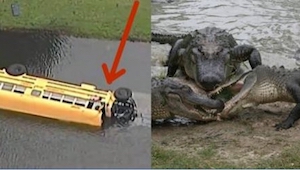 ¡Un autobús con 27 niños cae en un lago lleno de aligátores, pero un jovencito d