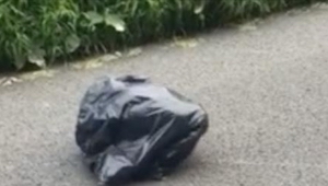 Un cachorro estaba sofocándose en una bolsa de basura. La mujer que lo salvó, en