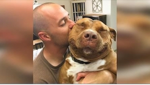 Su querido pitbull murió. Tres meses más tarde vio a ESTE perro en Internet y se