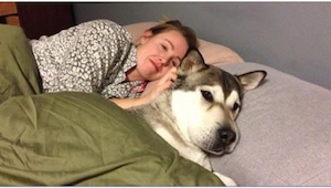 ¿No permites que tu perro duerma contigo? Quizás después de leer este artículo y