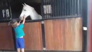 ¡Este chiquillo simplemente se mereció tener este caballo. ¡Mirad lo que hizo!