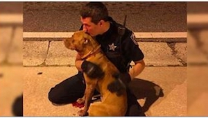 Cuando este funcionario vio en la calle a dos perros asustados, no dudó en acerc