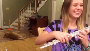 Esta muchacha estaba tocando flauta. Gracias a la reacción de su perro este vide