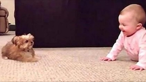 ¡Simplemente tenéis que ver este video! Mirad cómo un bebé juega con su mascota.