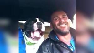 Este perro opacó a su propio dueño en interpretar una canción popular. ¡Tenéis q