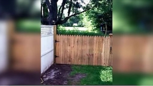 Un hombre se jacta de hacer una cerca para que su perro no pueda escapar. ¡Unos 