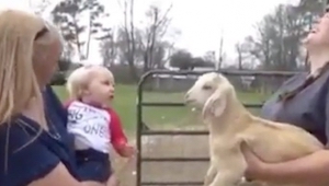 Una cabra empieza a balar, pero cuando esta niña quiso imitarla,no podíamos cree