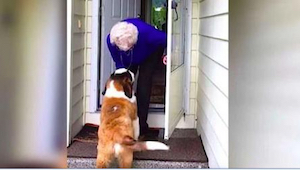Una señora mayor y un cachorro travieso... ¡Este video mejorará vuestro humor!