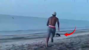  Un joven iba a patear a un perro en la playa... ¡Un ratito más tarde se arrepin