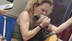 Este video chocante presenta a una mujer pegando a su perro.  Un rato después un