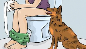 ¿Por qué tu perro va contigo al baño? ¡La razón es más importante que tu crees!